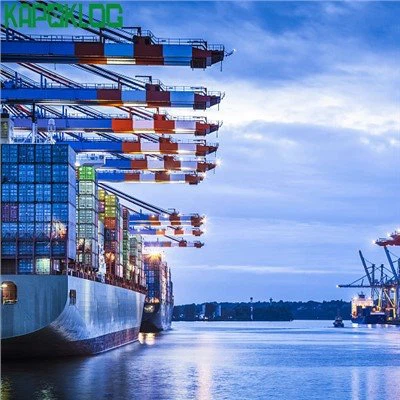 DDP Fast Sea Freight Kiinan huolitsija